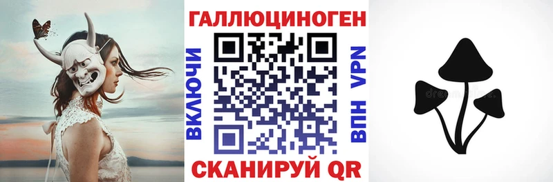 Псилоцибиновые грибы Cubensis  как найти закладки  Копейск 